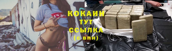первитин Богданович