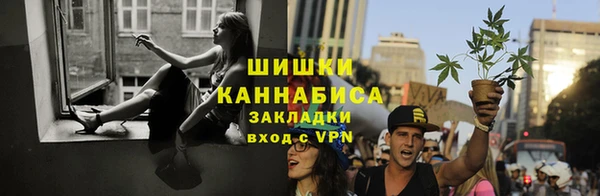 первитин Богданович