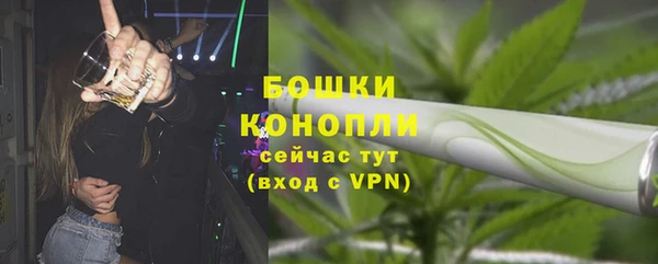 первитин Богданович