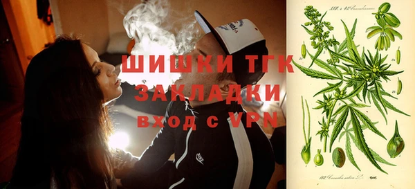 первитин Богданович