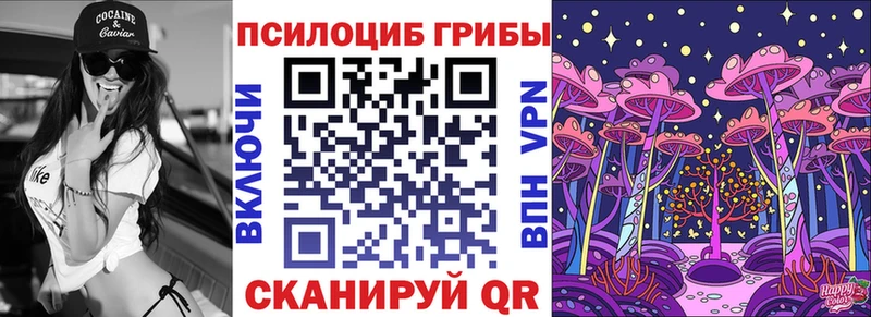 Псилоцибиновые грибы Psilocybine cubensis  blacksprut tor  Гусев 